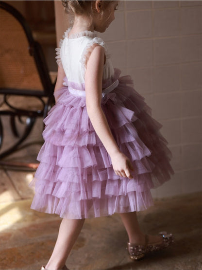 little girl in Lavender Layered Tulle Dress back