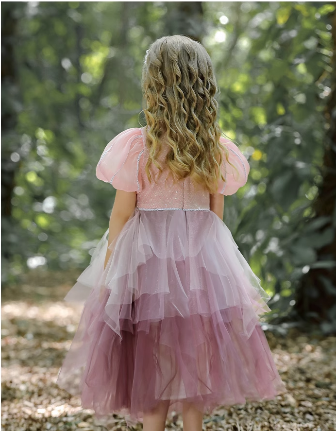 Layered Long/Short Sleeves  Tulle  Princess Party Flower Girl Dress Costume for Kids Girls Toddlers - MiniClosetCo