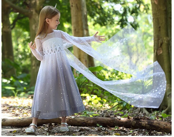 Shimmer  Sparkle Princess Dress With Cape - MiniClosetCo