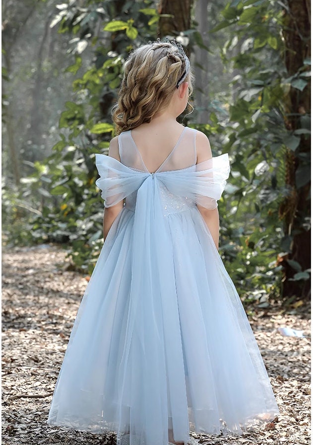 Blue/Pink  Tulle Princess Dress - MiniClosetCo