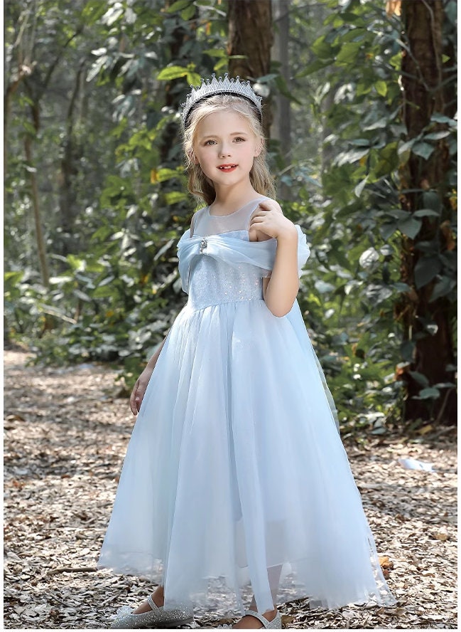 Blue tulle princess dress front